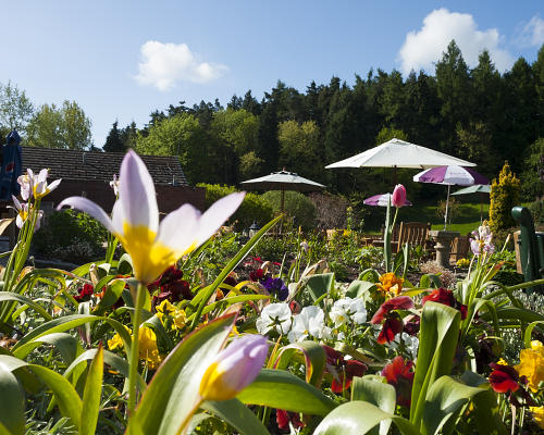 Bridgnorth Golf Club